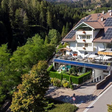Hotel Erica Tesero Zewnętrze zdjęcie