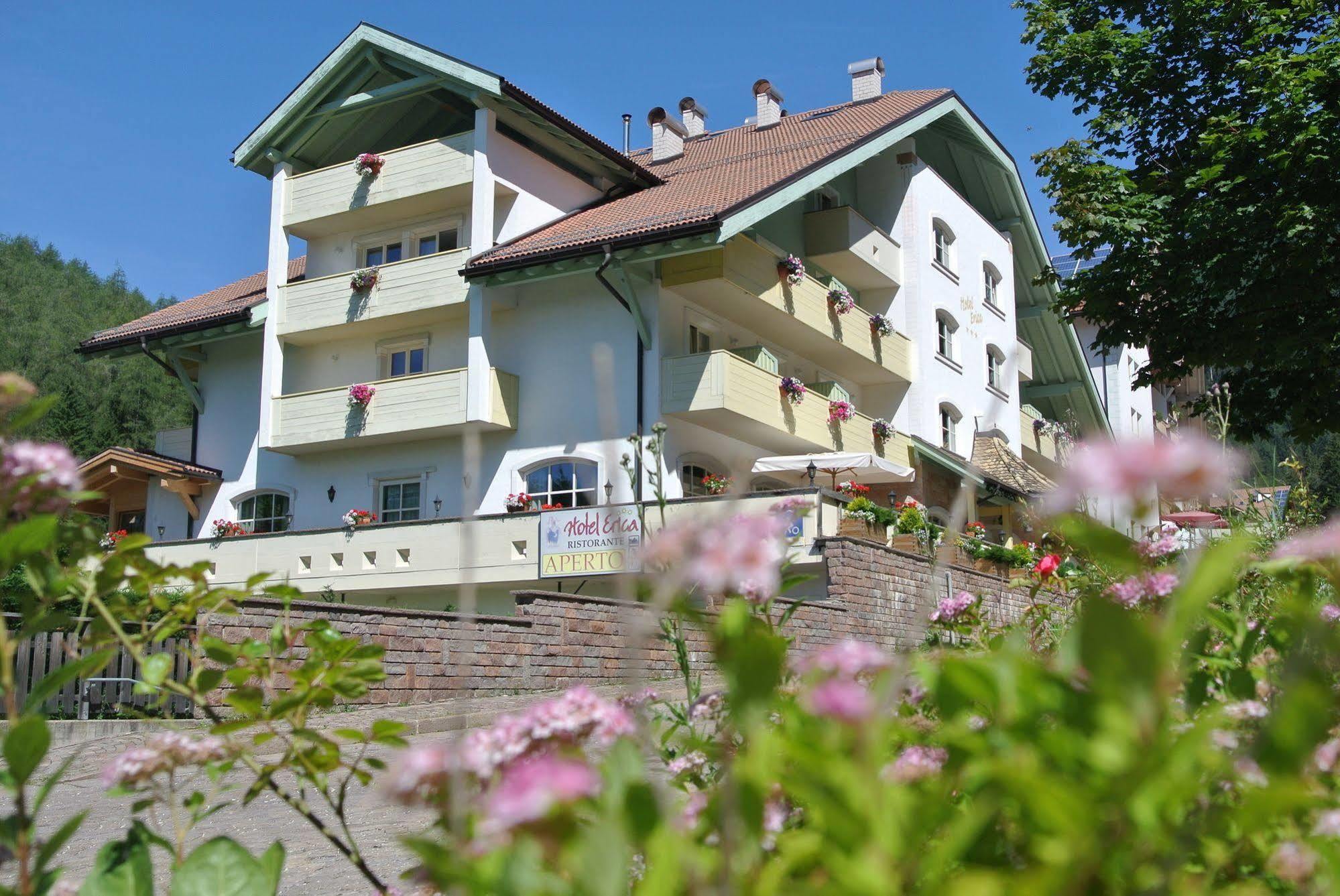 Hotel Erica Tesero Zewnętrze zdjęcie